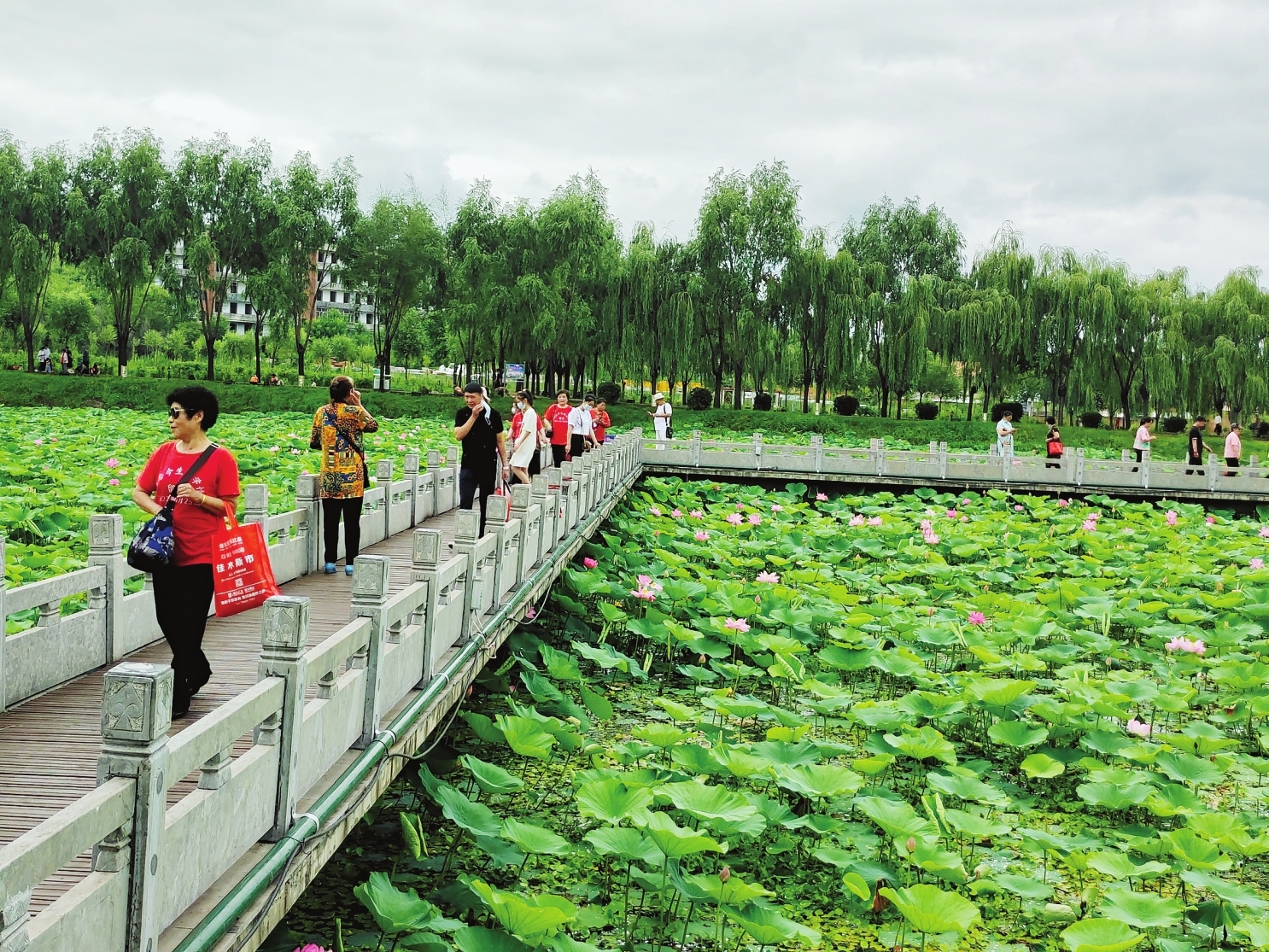 万宝湖儿童公园图片、风景图集网友实景图_旅游图片 | 多文旅游网